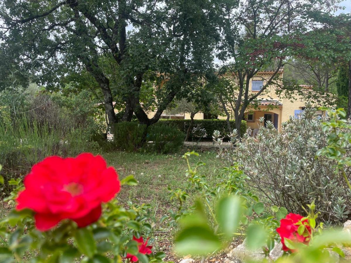 La Maison De La Cigale Forcalqueiret Εξωτερικό φωτογραφία