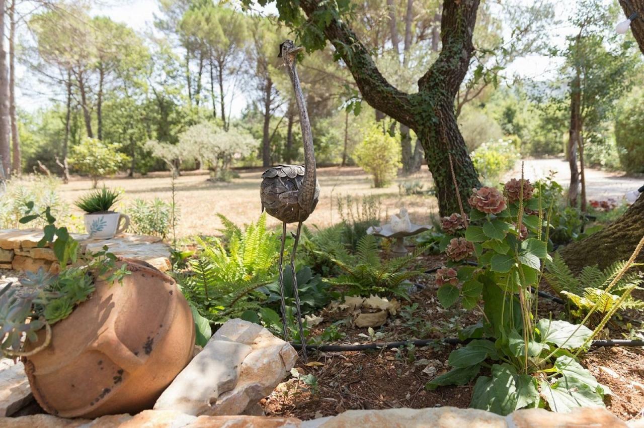 La Maison De La Cigale Forcalqueiret Εξωτερικό φωτογραφία
